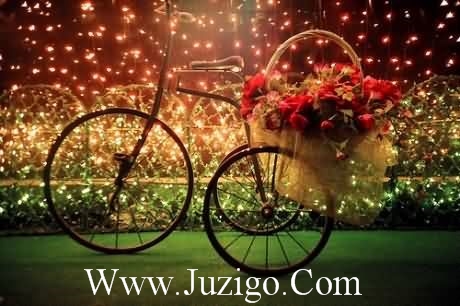 新年祝福家人的句子(精选26句)