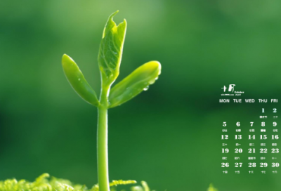 ​节日短信祝福语(简短)，节日短信(精选62句)