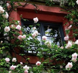 ​91 新年祝福语2023最火