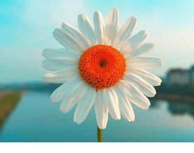 超自恋的搞笑说说