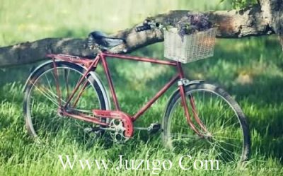 ​关于端午节的祝福语关于端午节的7字祝福语(精选44句)
