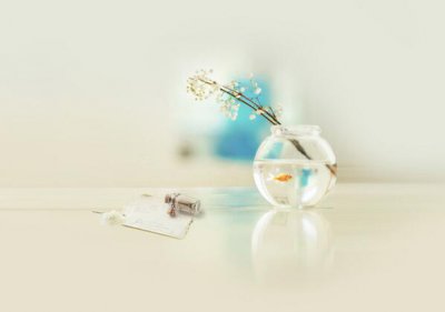 ​2024正能量奋斗的句子