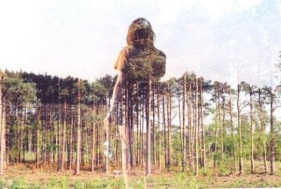 ​一生一世一双人誓言告白的句子 陆先生每天都想告白
