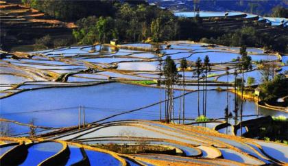 吃糖可以戒烟吗套路