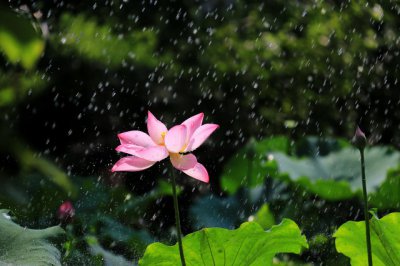 ​下雨的有意境的短句子 适合雨天发的简短句子