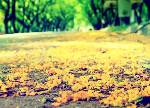 励志口号大全霸气活力