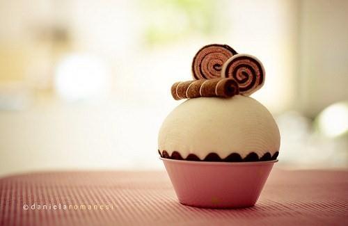 最新的环保标语大全