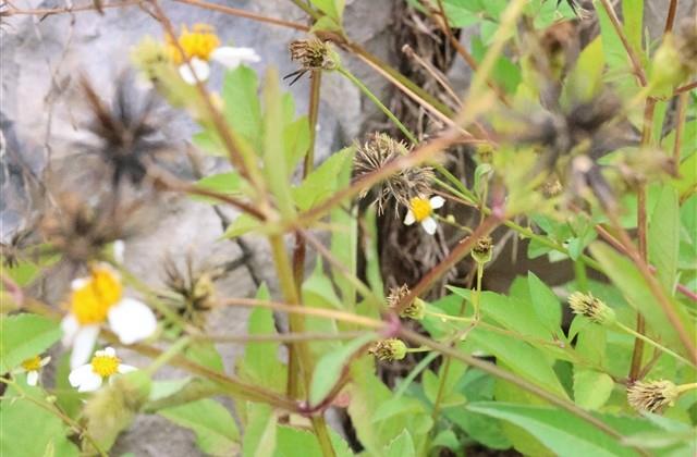 调皮发朋友圈的说说(推荐67句) 调皮发朋友圈的说说(推荐67句)