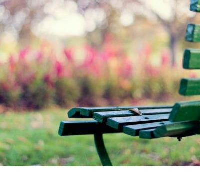 保护动物的创意标语