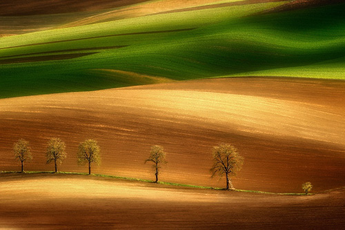 见义勇为宣传口号50句