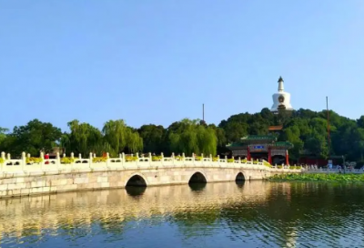 ​养老保险宣传口号