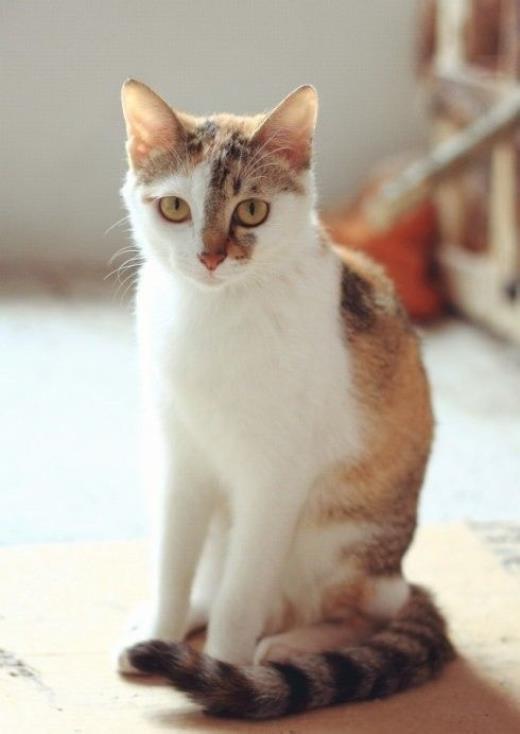 广告公司宣传标语