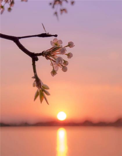 广告公司宣传标语