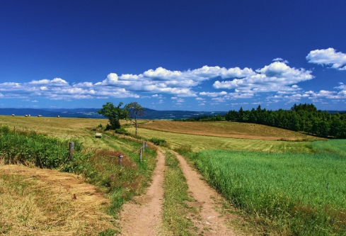 1688723367113939.png image.png