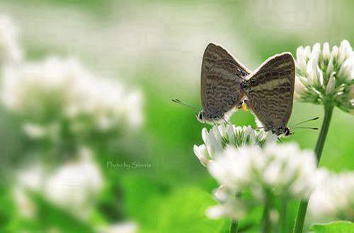 2022年简单的哲理唯美语句合集95条