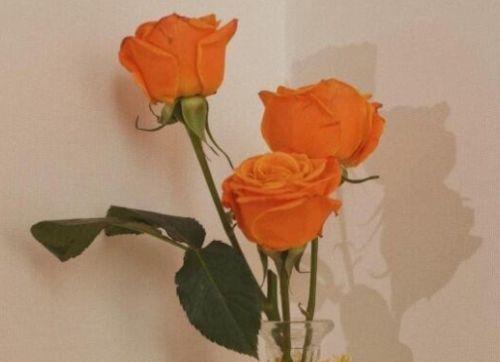 感冒怎么发朋友圈幽默 自己感冒难受的说说