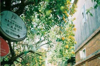 ​自恋说说47句