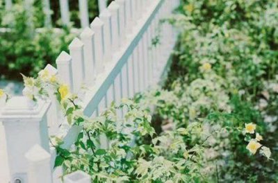 ​讨厌背叛的说说 被爱人背叛的伤感句子(38句)