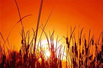 ​冬天下雪了朋友圈暖心文案说说(96句)