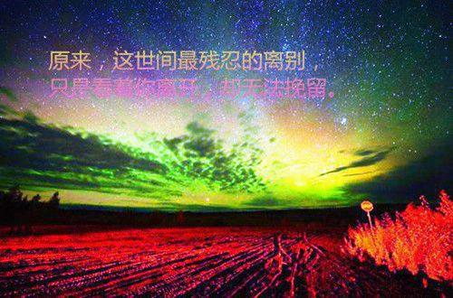 很唯美的励志句子
