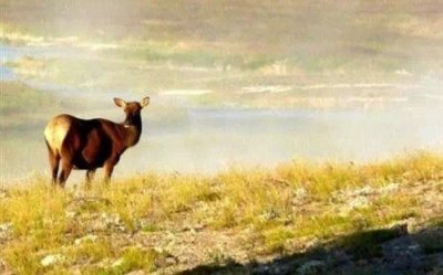 ​愚人节祝福语微信朋友圈句子95句