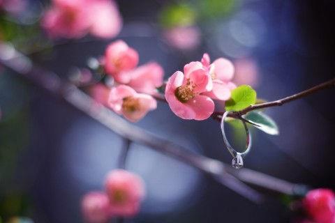 4月最后一天励志朋友圈句子