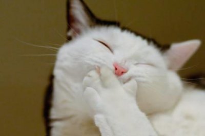 ​4月最后一天励志朋友圈句子