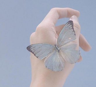 ​要毕业了的伤感句子