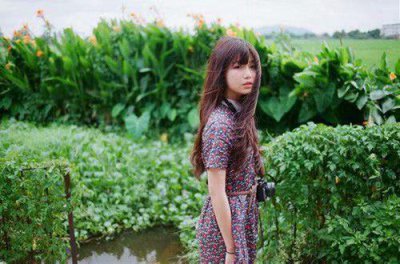 ​形容桃花的唯美句子大全
