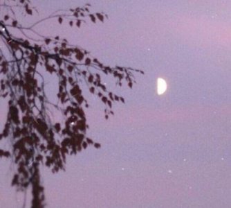 ​又是下雨天的心情说说 雨天的心情说说图片(51句)