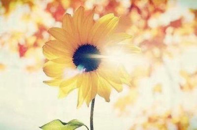 ​立秋朋友圈关心问候语温馨短句(27句)