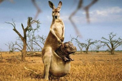 ​感恩节适合发朋友圈感恩的话(精选82句)