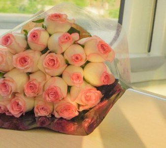 ​【精选】2025高考发朋友圈霸气文案汇编117句