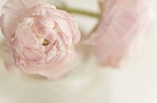 2025年经典形容努力的句子69条