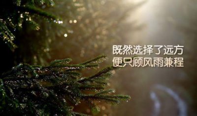 ​牛年开门红励志口号(96句)