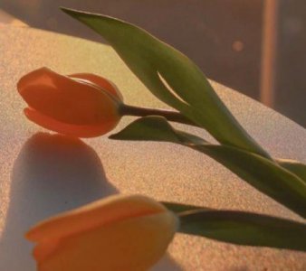 ​女生回家朋友圈说说52句