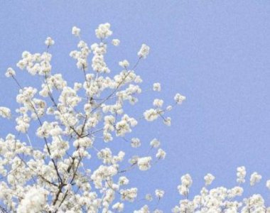 ​qq兄弟情义说说大全89句