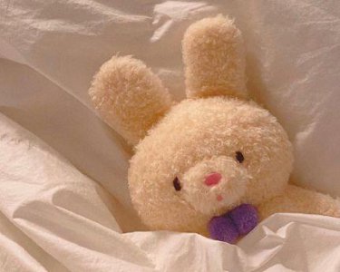 ​龙抬头朋友圈文案(精选88条)