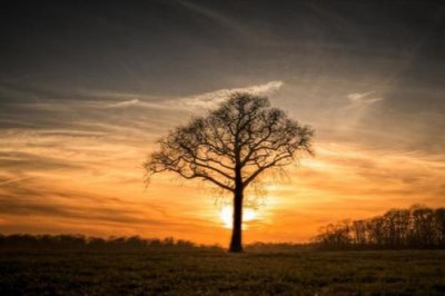 ​停电停水无奈的说说心情 停水的心情说说(54句)