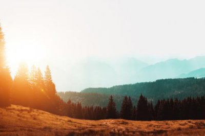 ​送给婚姻失败人的励志句子 失败的婚姻说说心情(54句)