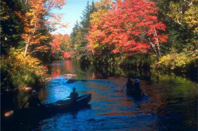 ​平淡说说44句