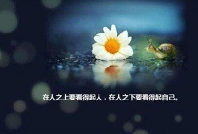 ​神兽放假了怎么发朋友圈 神兽放假了朋友圈说说(52句)