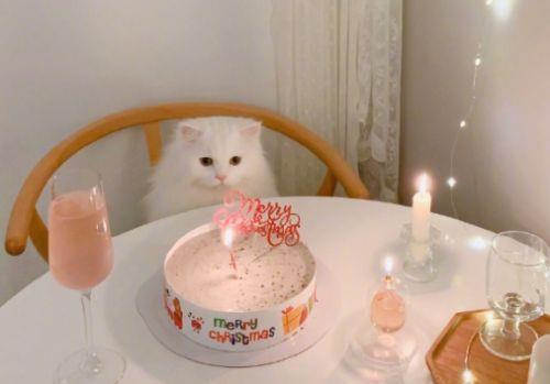 微信朋友圈晚安心语正能量