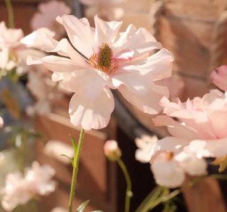 ​早安文案 早上发朋友圈的句子推荐39句