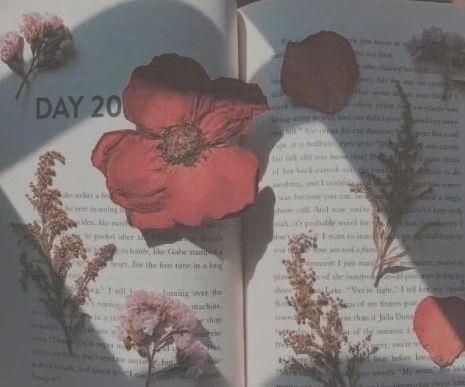 晒狗狗怎么发朋友圈说说 发狗狗照片配什么文字