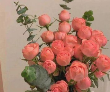 ​生活一地鸡毛的朋友圈句子