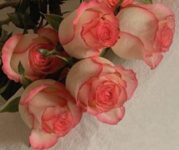 ​清明节怀念亲人的伤感句子