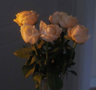 ​正能量的话励志的语句发朋友圈(48句)