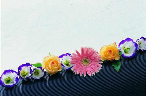 早安文案 发朋友圈的精美句子