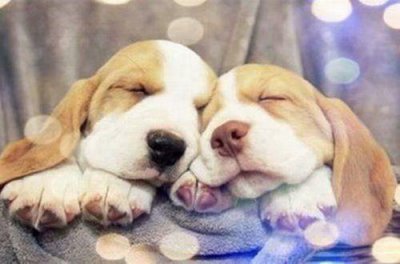 ​生活累不累只有自己知道的说说 心烦心累的说说发朋友圈